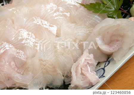 かれい刺身　カレイ刺身　鰈刺身 123460856