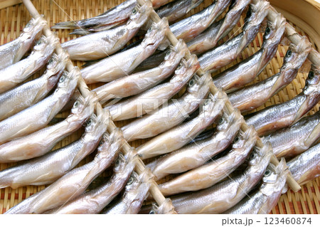 シシャモ　ししゃも　柳葉魚　生干しししゃも 123460874