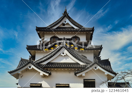 国宝彦根城天守閣　岐阜県彦根市 123461045