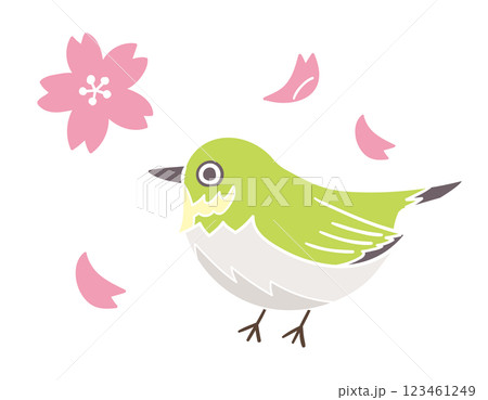 メジロと桜の花びら／春の風物詩／手書きのベクターイラスト 123461249