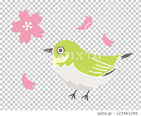 メジロと桜の花びら／春の風物詩／手書きのベクターイラスト 123461249