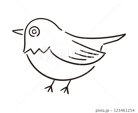 メジロ・目白/手書きのベクター線画イラスト メジロ・目白/手書きのベクター線画イラスト 123461254