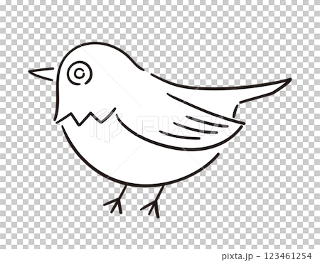 メジロ・目白/手書きのベクター線画イラスト メジロ・目白/手書きのベクター線画イラスト 123461254