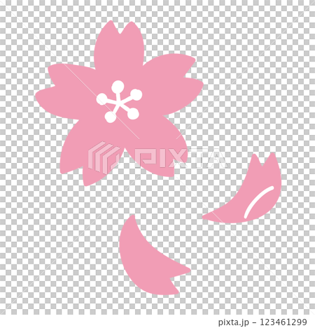 櫻花花瓣/手繪向量插圖 櫻花花瓣/手繪向量插圖 123461299