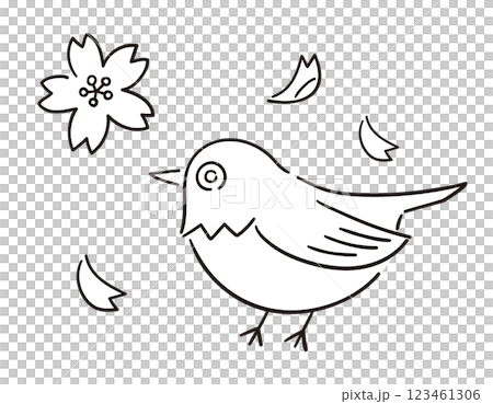 メジロと桜の花びら／春の風物詩／手書きのベクター線画イラスト 123461306