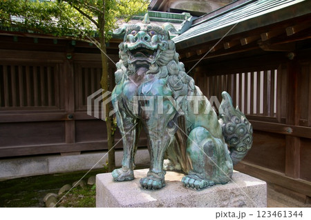 宗像大社・狛犬・阿(あ)形(福岡県・宗像市) 宗像大社・狛犬・阿(あ)形(福岡県・宗像市) 123461344