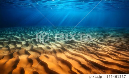 Underwater Sand Ripples, High-Resolution Ocean Floor Texture with Flowing Patterns 123461387