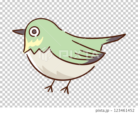 繡眼鳥 / 鳥 / 野鳥 / 手繪向量線描插圖 123461452
