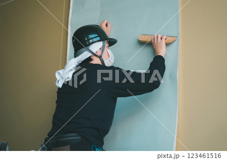 interior finishing 123461516