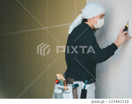 interior finishing 123461518