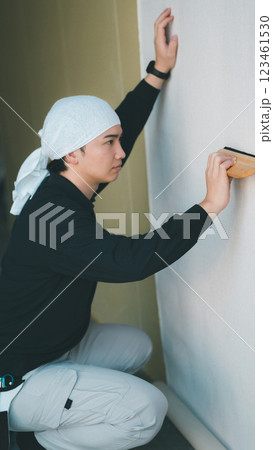 interior finishing interior finishing 123461530