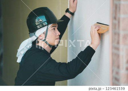 interior finishing interior finishing 123461539