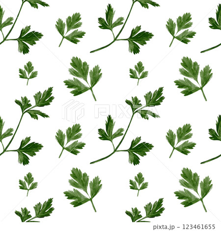 Seamless pattern with parsley. Coreander leaves. watercolor illustration isolated from background. spice and seasoning. Spring leaves. Pattern for textiles and kitchen decor.  Seamless pattern with parsley. Coreander leaves. watercolor illustration isolated from background. spice and seasoning. Spring leaves. Pattern for textiles and kitchen decor.  123461655