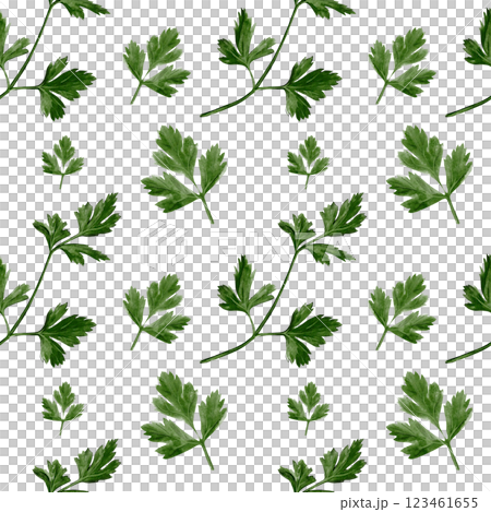 Seamless pattern with parsley. Coreander leaves. watercolor illustration isolated from background. spice and seasoning. Spring leaves. Pattern for textiles and kitchen decor.  Seamless pattern with parsley. Coreander leaves. watercolor illustration isolated from background. spice and seasoning. Spring leaves. Pattern for textiles and kitchen decor.  123461655