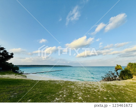 青い海 宮古島ブルー 123461672