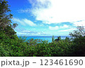 沖縄の海 123461690