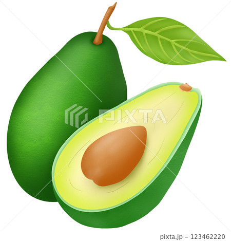 fresh green kivi with leaves isolated on white fresh green kivi with leaves isolated on white 123462220