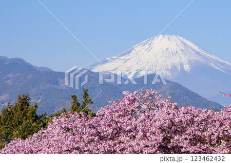 松田山から早春の富士山 松田山から早春の富士山 123462432