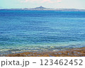 伊江島 123462452