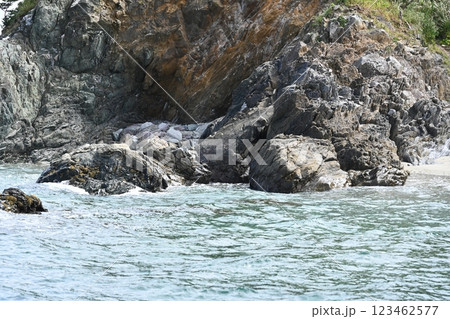 さや状褶曲の岩が見られる沼島の海岸線 123462577