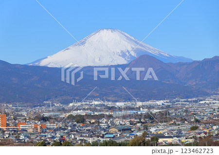 小田原市　曽我梅林　見晴台からの富士山と梅林 123462723