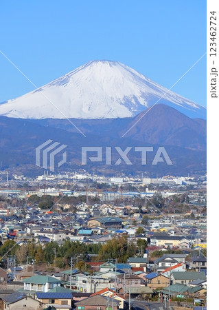 小田原市　曽我梅林　見晴台からの富士山と梅林 123462724