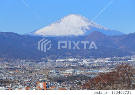 小田原市　曽我梅林　見晴台からの富士山と梅林 123462725