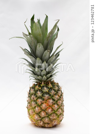 新鮮なパイナップル 123462781