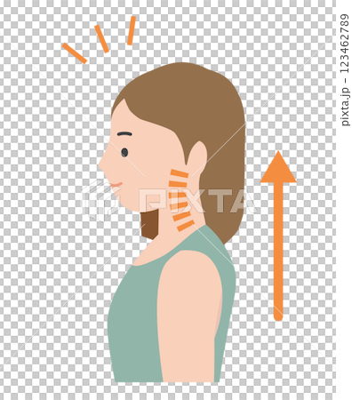 Illustration of a woman with good posture and ideal cervical curve 123462789