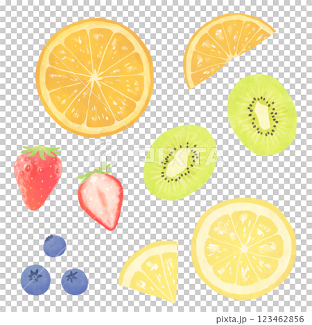 水果的插圖 123462856