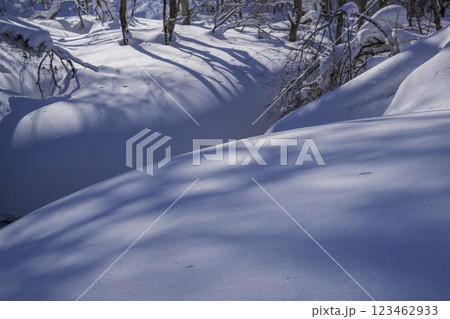 雪に覆われた池と樹木の影 123462933