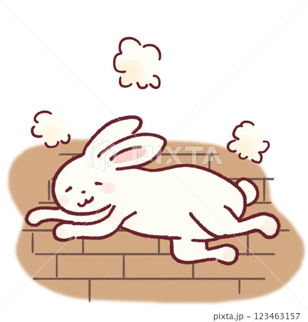 床暖房でくつろぐ白うさぎ 123463157