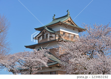 高島城と桜 長野県諏訪市 高島城と桜 長野県諏訪市 123463192