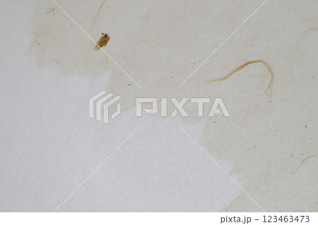 異種の和紙によるコラボ【背景素材】 異種の和紙によるコラボ【背景素材】 123463473