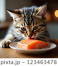 サーモンに不満顔を出す仔猫 123463478