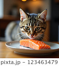キャットフードに不満がある表情をしているの猫 123463479