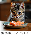 キャットフードに不満顔を出す猫 123463480