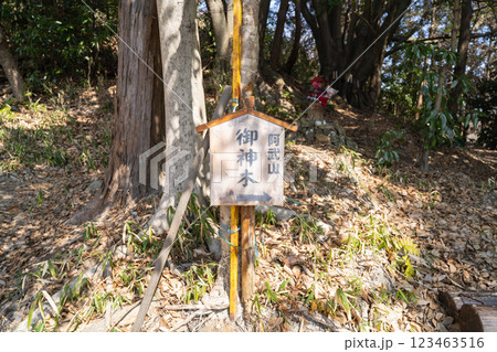 阿武山の御神木（大阪府茨木市） 123463516