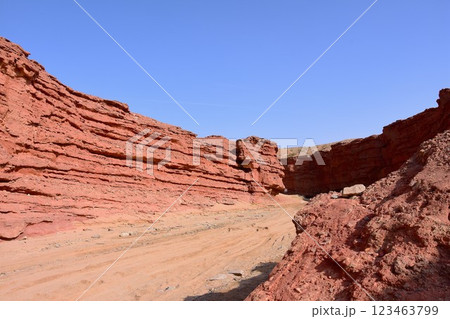 浸食と風食によって形成された峡谷の風景 123463799