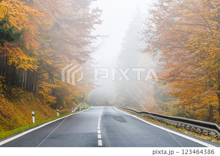 Road through a colored forest in a foggy autumn landscape. Road through a colored forest in a foggy autumn landscape. 123464386