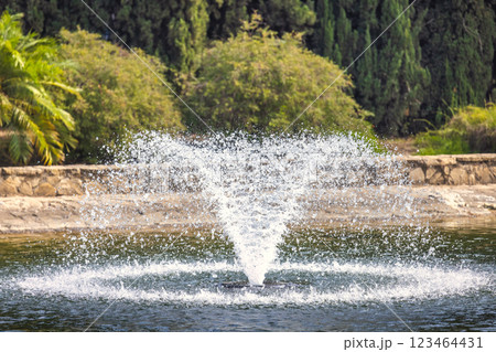 The Historical Botanical Garden La Concepcion in Malaga city at Andalusia, Spain, Europe. Water fountain spraying in a pond, surrounded by lush greenery. The Historical Botanical Garden La Concepcion in Malaga city at Andalusia, Spain, Europe. Water fountain spraying in a pond, surrounded by lush greenery. 123464431
