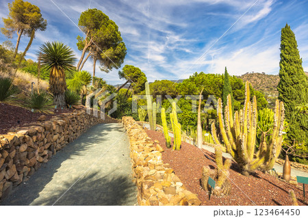 The Historical Botanical Garden La Concepcion in Malaga city at Andalusia, Spain, Europe. A scenic pathway winds through a vibrant botanical garden, showcasing diverse cacti and other desert plants. 123464450