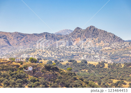 The mountainous land of Andalusia near Ronda town in Spain. Mountain landscape with houses and shrubs. A scenic view of rugged terrain under a clear blue sky. The mountainous land of Andalusia near Ronda town in Spain. Mountain landscape with houses and shrubs. A scenic view of rugged terrain under a clear blue sky. 123464453