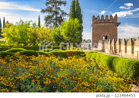 Alhambra complex in Granada town, Andalusia, Spain. Sunlit garden with yellow flowers and ancient stone wall. 123464455