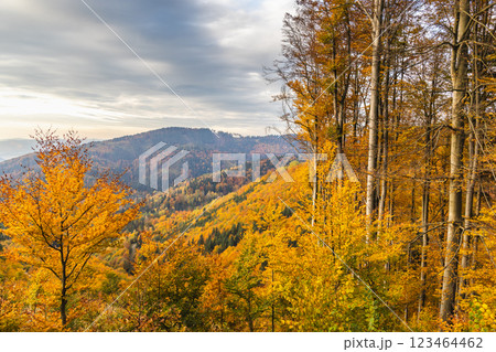 Beautiful mountainous rural landscape in autumn. The The Maple Mountains in northwest of Slovakia, Europe. 123464462