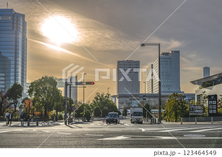 東京都江東区の都市風景　有明駅 123464549