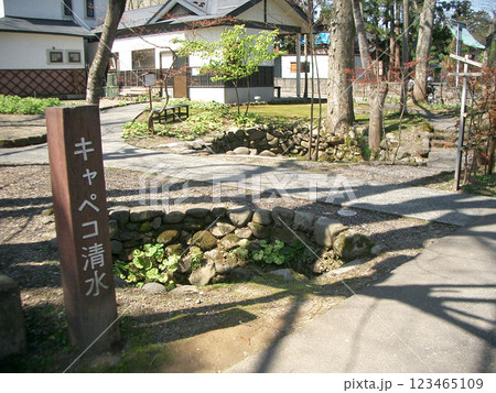 六郷湧水群(キャペコ清水) 六郷湧水群(キャペコ清水) 123465109