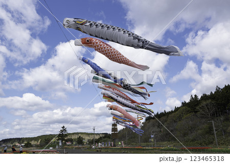 青空を泳ぐ鯉のぼり 青空を泳ぐ鯉のぼり 123465318
