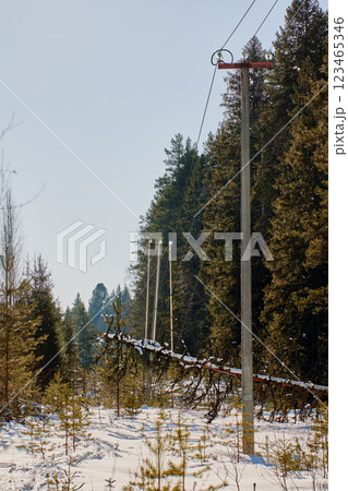 Ground current potential significant tree contacts overhead transmission line creating widespread electrical hazard power cable compromised stay clear report ensure repairs done safely. Ground current potential significant tree contacts overhead transmission line creating widespread electrical hazard power cable compromised stay clear report ensure repairs done safely. 123465346