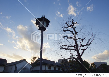 倉敷美観地区の風景　夕景 123465349